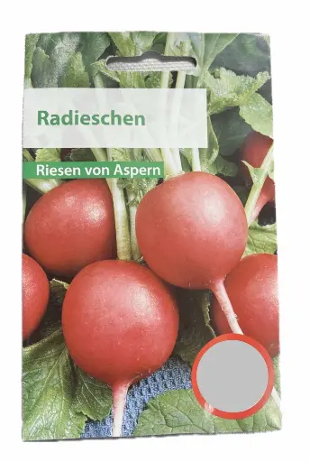 Radieschen Riesen von Aspern 